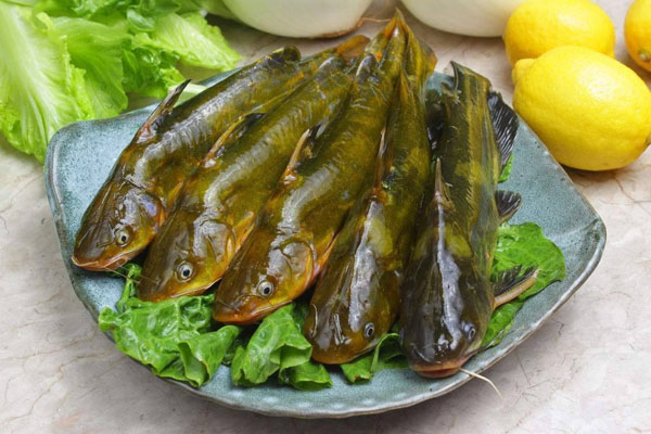 蔬菜配送駕駛員同城