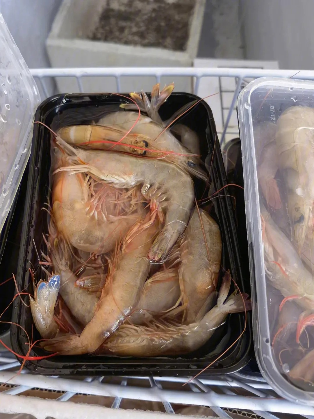 崇明食堂蔬菜配送電話