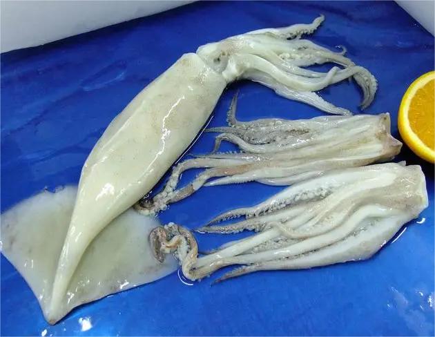 玉環(huán)楚門蔬菜配送中心