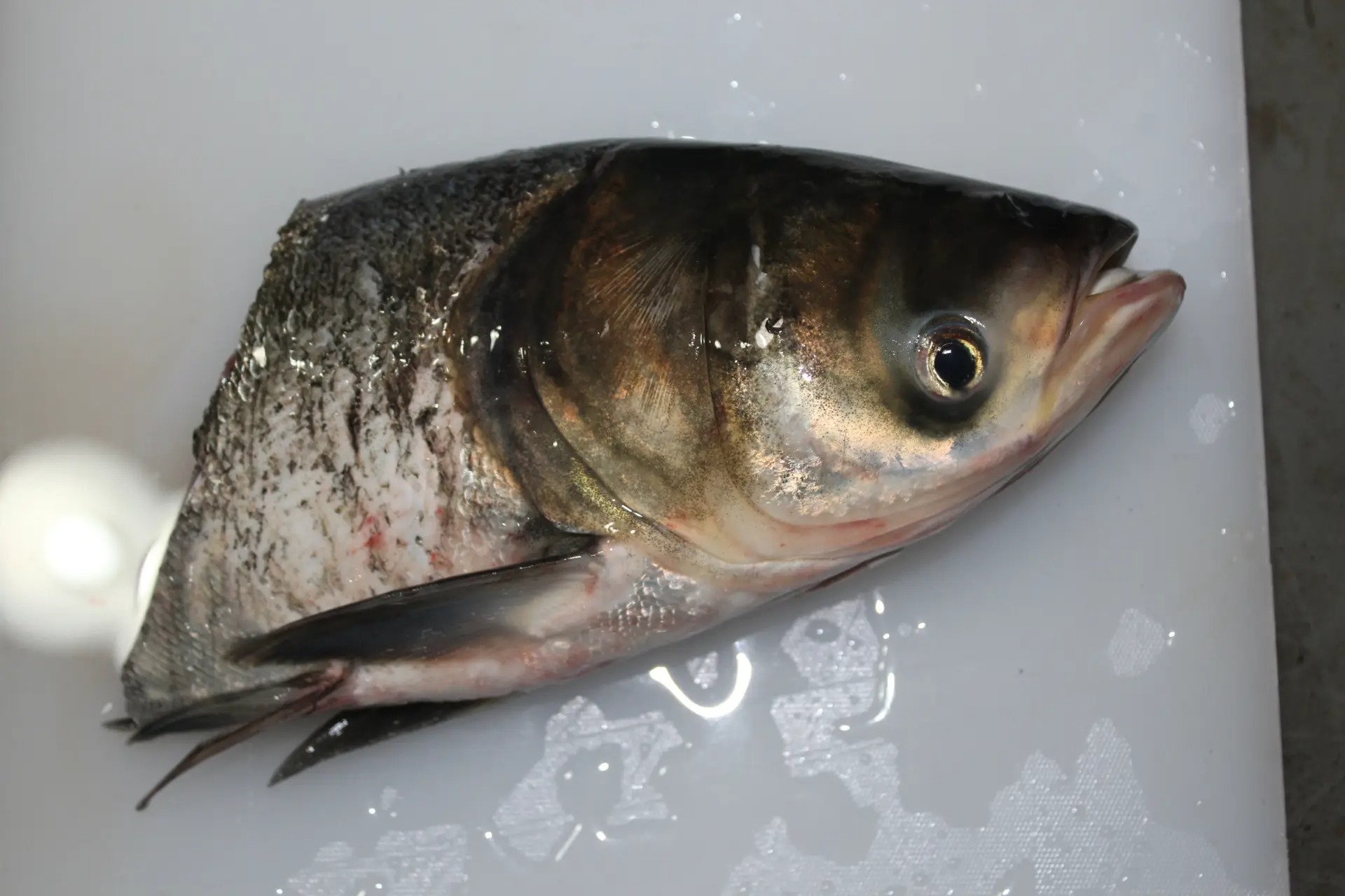 福田蔬菜配送多少錢(qián)