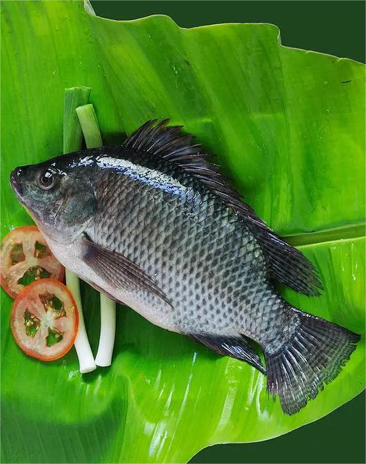 奇臺(tái)縣蔬菜店配送