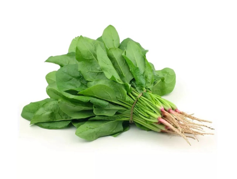 首宏蔬菜配送價(jià)格2025-5-19