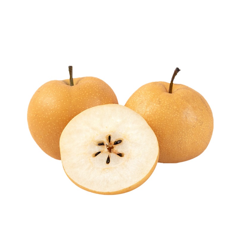 初春是最好養(yǎng)生的季節(jié) 該如何保健早春