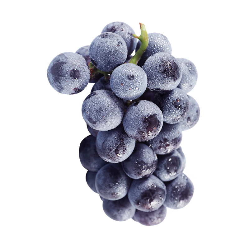 初春穿裙美麗莫凍人早春