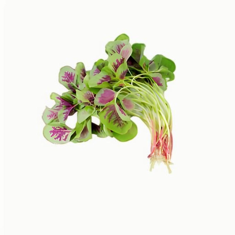 春分的來歷，春分的習俗有哪些，春分的節(jié)氣特征