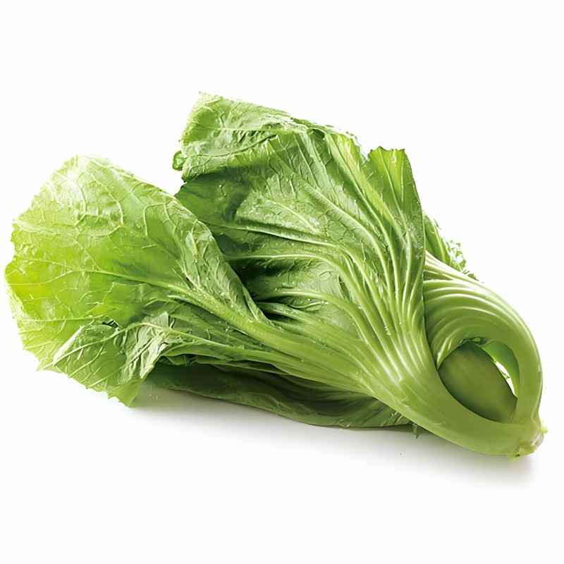 蔬菜配送價(jià)格表 2025-4-2