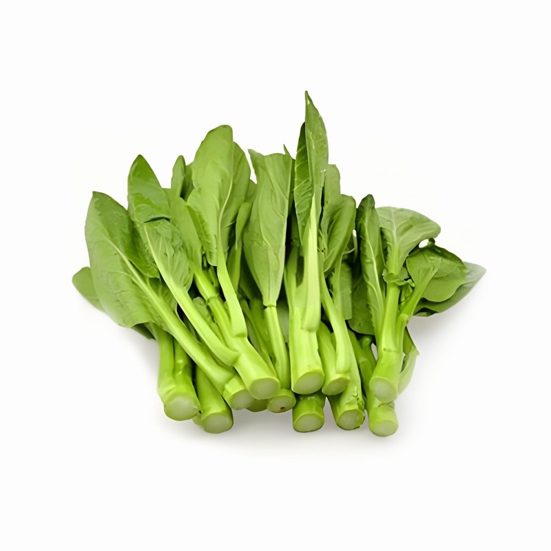 春分時節(jié)9種不同體質(zhì)的養(yǎng)生早春